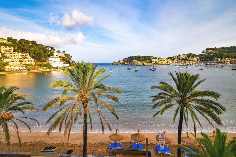 Exciting Mallorca Quarterfinal Showdowns: Griekspoor Takes on Diallo, Michelsen Faces Bautista Agut! Exciting Mallorca Quarterfinal Showdowns: Griekspoor Takes on Diallo, Michelsen Faces Bautista Agut!