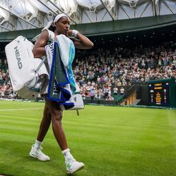 Thrilling Wimbledon Showdowns: Tiafoe Takes on Norrie and Davidovich Fokina Battles Van de Zandschulp!