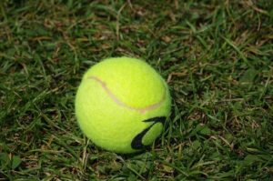 Wide-Open Men’s Field Emerges at US Open Following Fritz Upset, Says Cerundolo