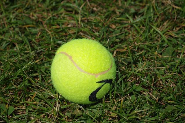 Wide-Open Men’s Field Emerges at US Open Following Fritz Upset, Says Cerundolo Wide-Open Men’s Field Emerges at US Open Following Fritz Upset, Says Cerundolo
